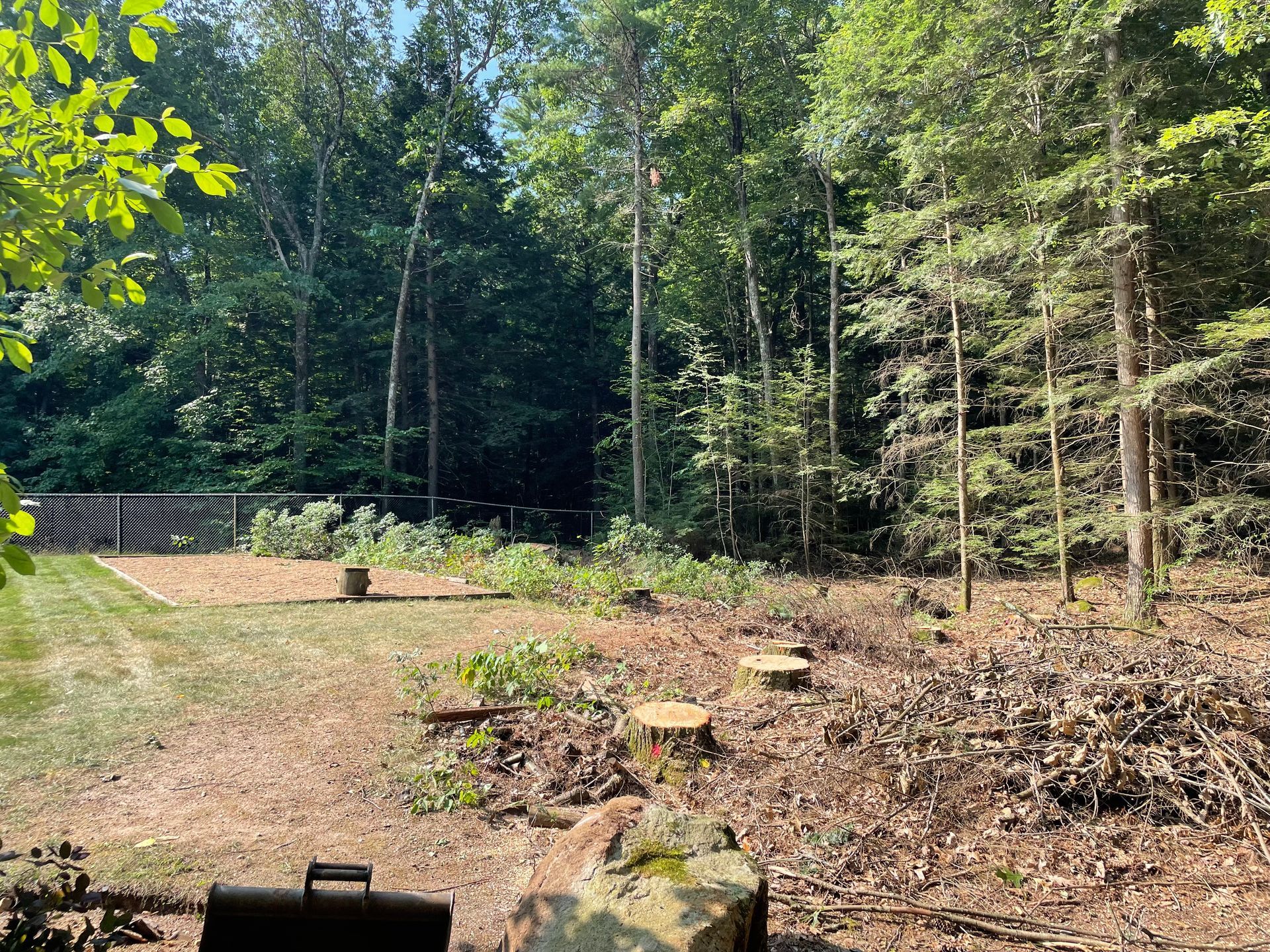 Clearing a wooded area, with tree stumps and cut branches. Green trees and grass are in the background.