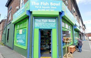 The Fish Bowl store