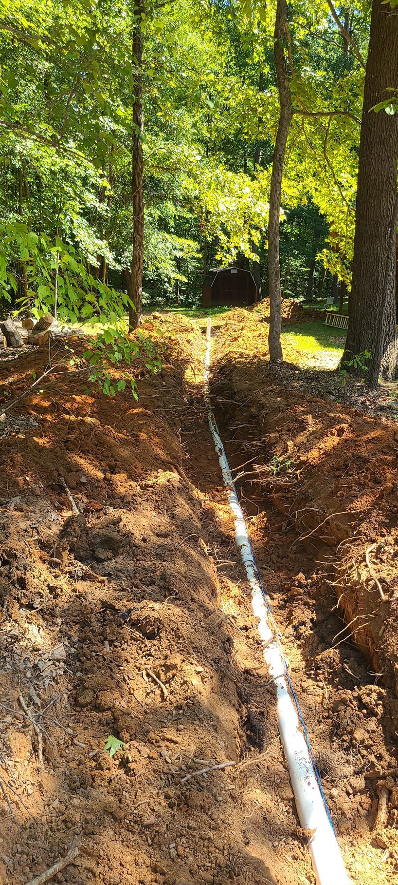 A pipe is being installed in the dirt with surrounding trees.
