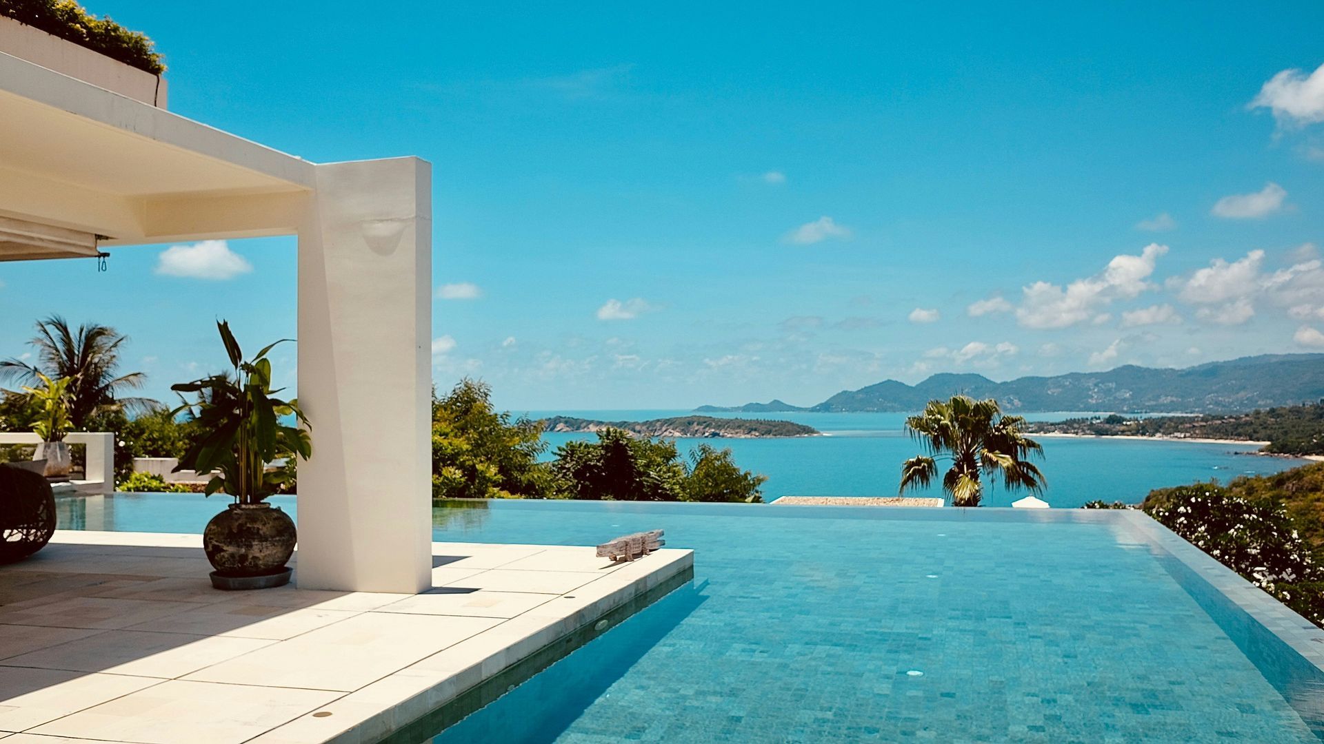 Infinity pool overlooking a tropical bay, with a modern white building and palm trees.