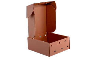 Caja de cartón marrón, abierta con la tapa levantada y agujeros en los laterales.