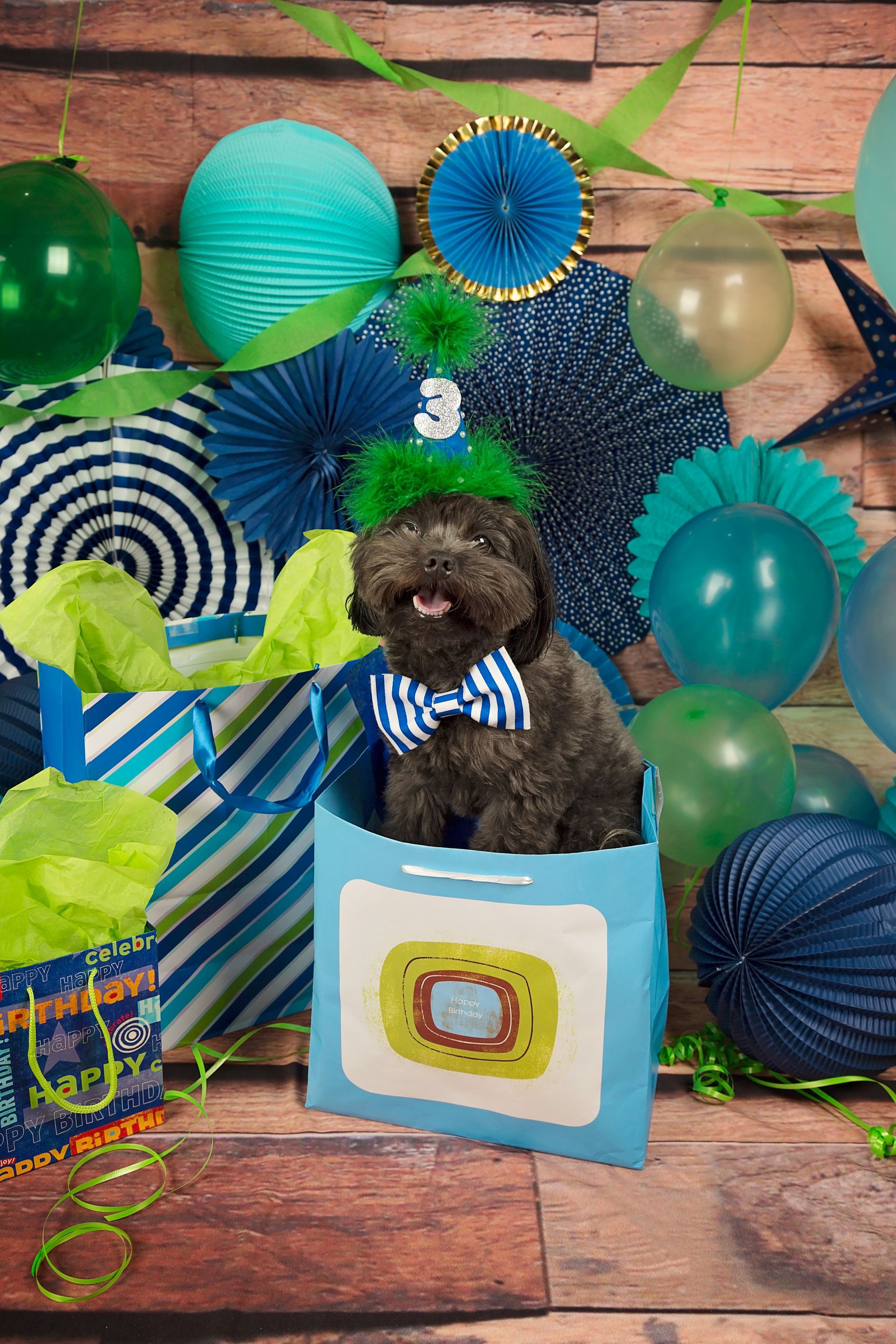A small dog wearing a birthday hat and bow tie is sitting in a birthday gift bag surrounded by balloons .