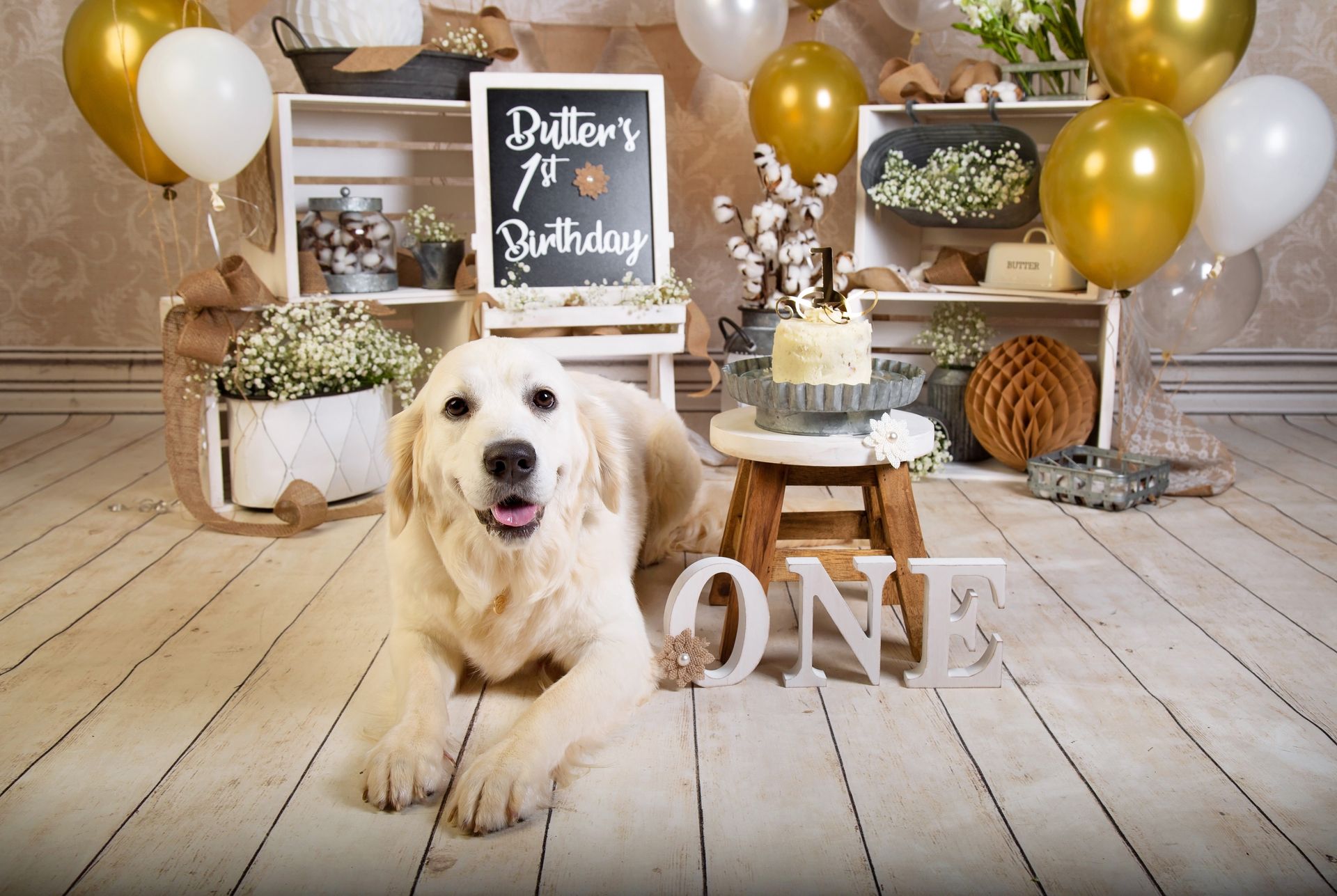 A dog is laying on a wooden floor in front of a sign that says one.