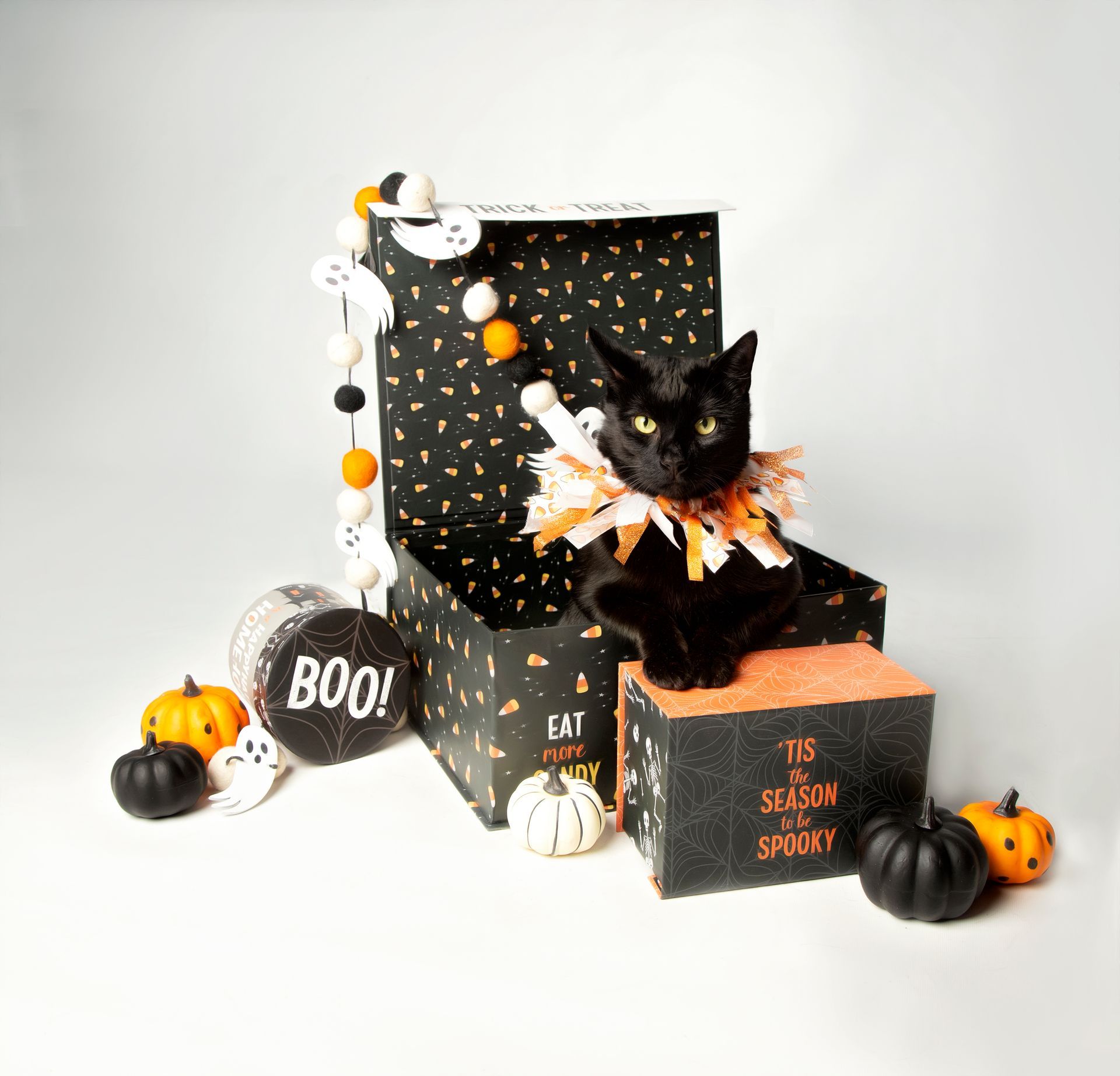 A black cat is sitting on top of a box that says boo.