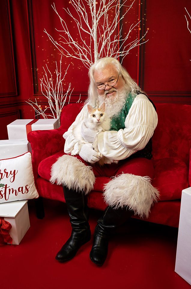 Santa Claus is sitting on a red couch holding a white cat.