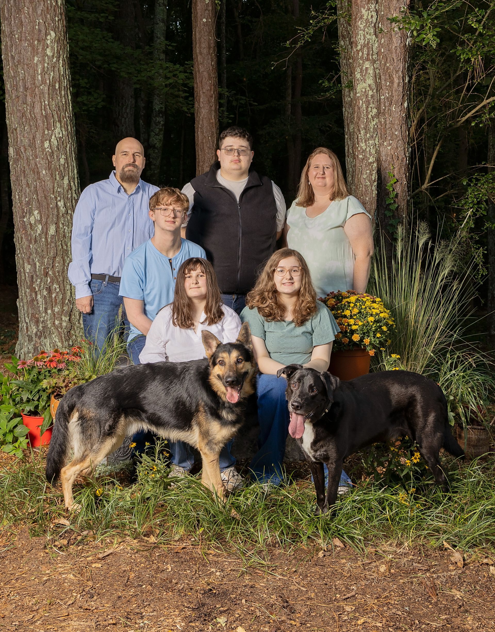 A family posing for a picture with their dogs in the woods.
