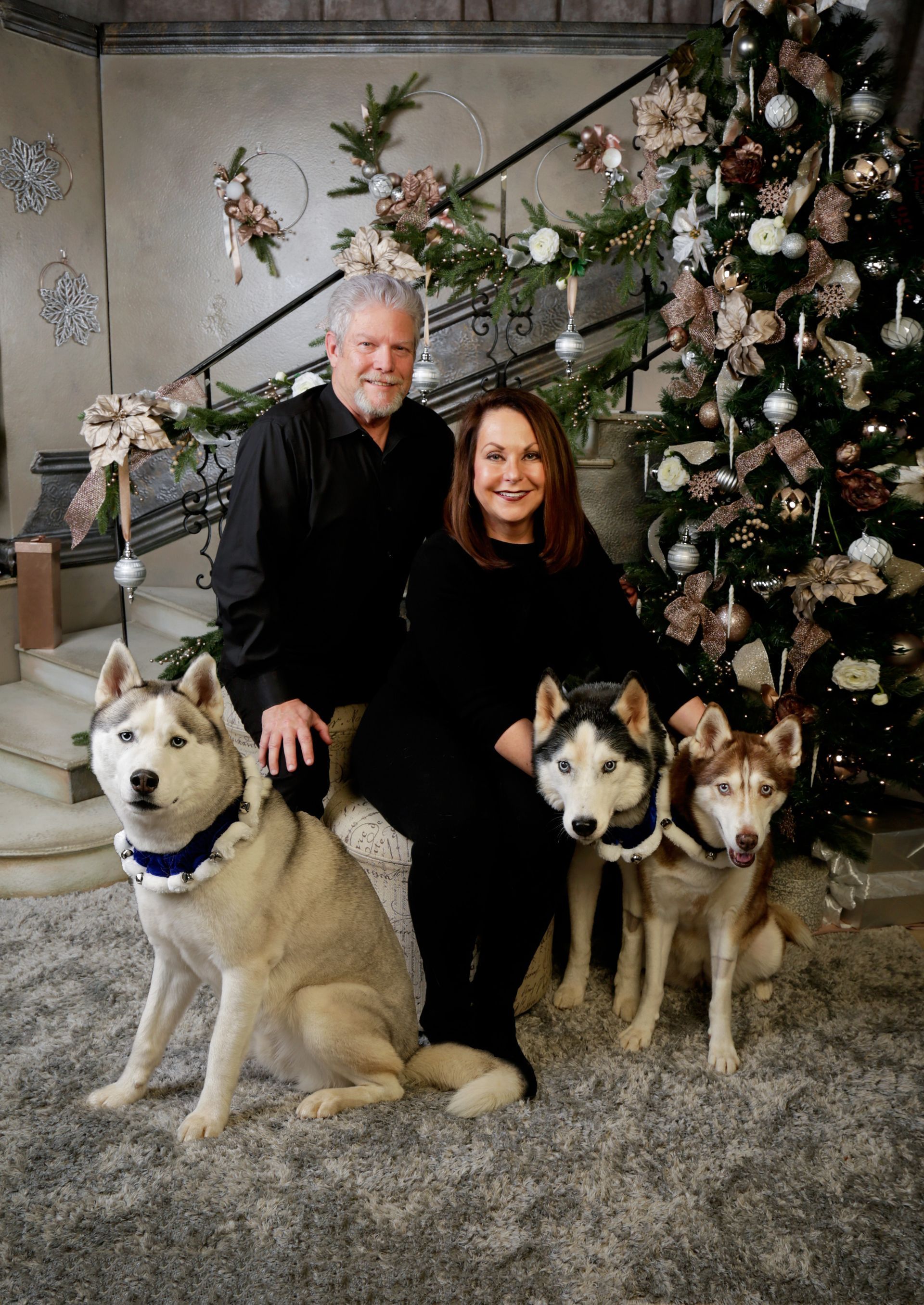A man and woman are posing for a picture with their dogs in front of a Christmas tree.