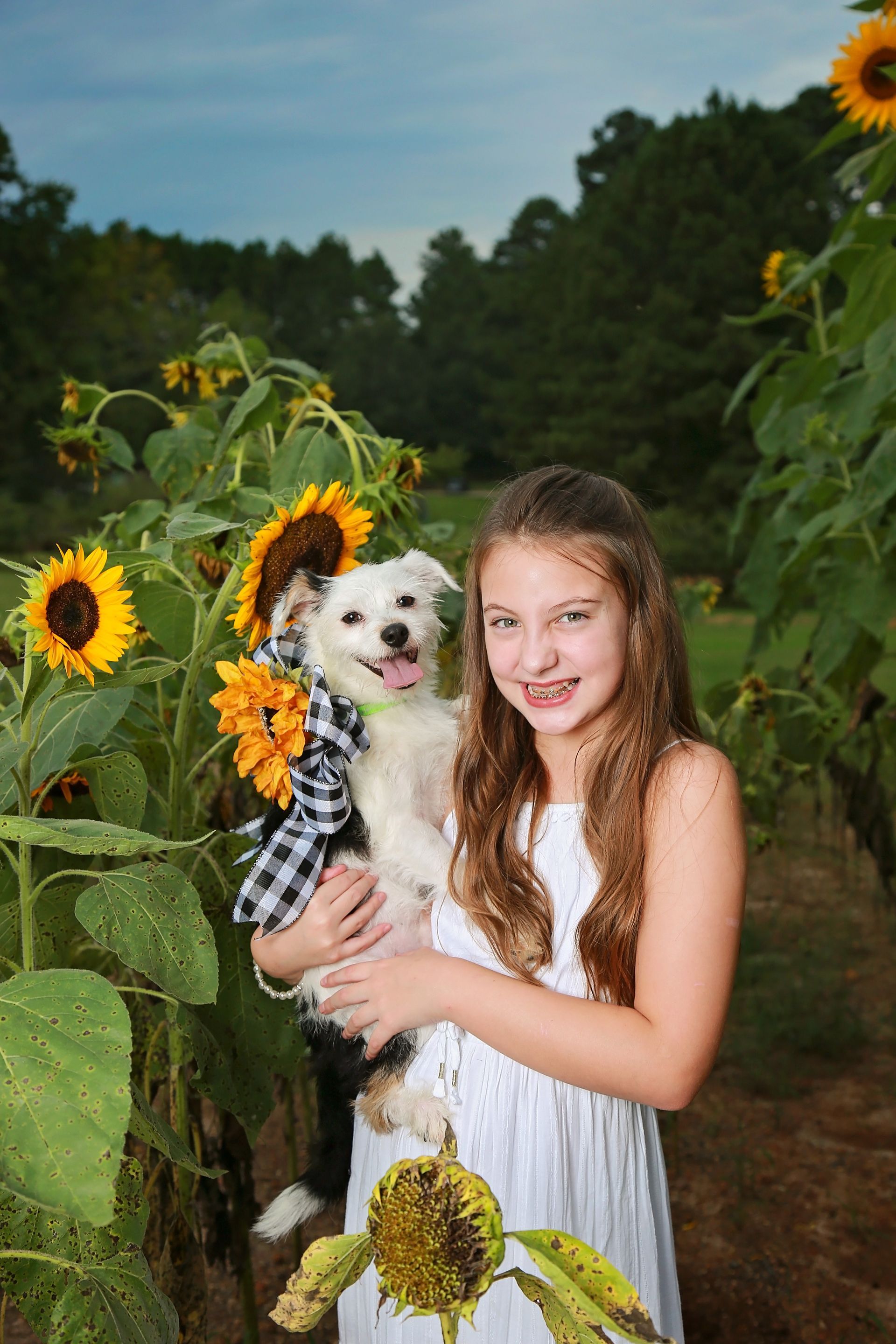 A girl is holding a dog in front of a field of sunflowers.