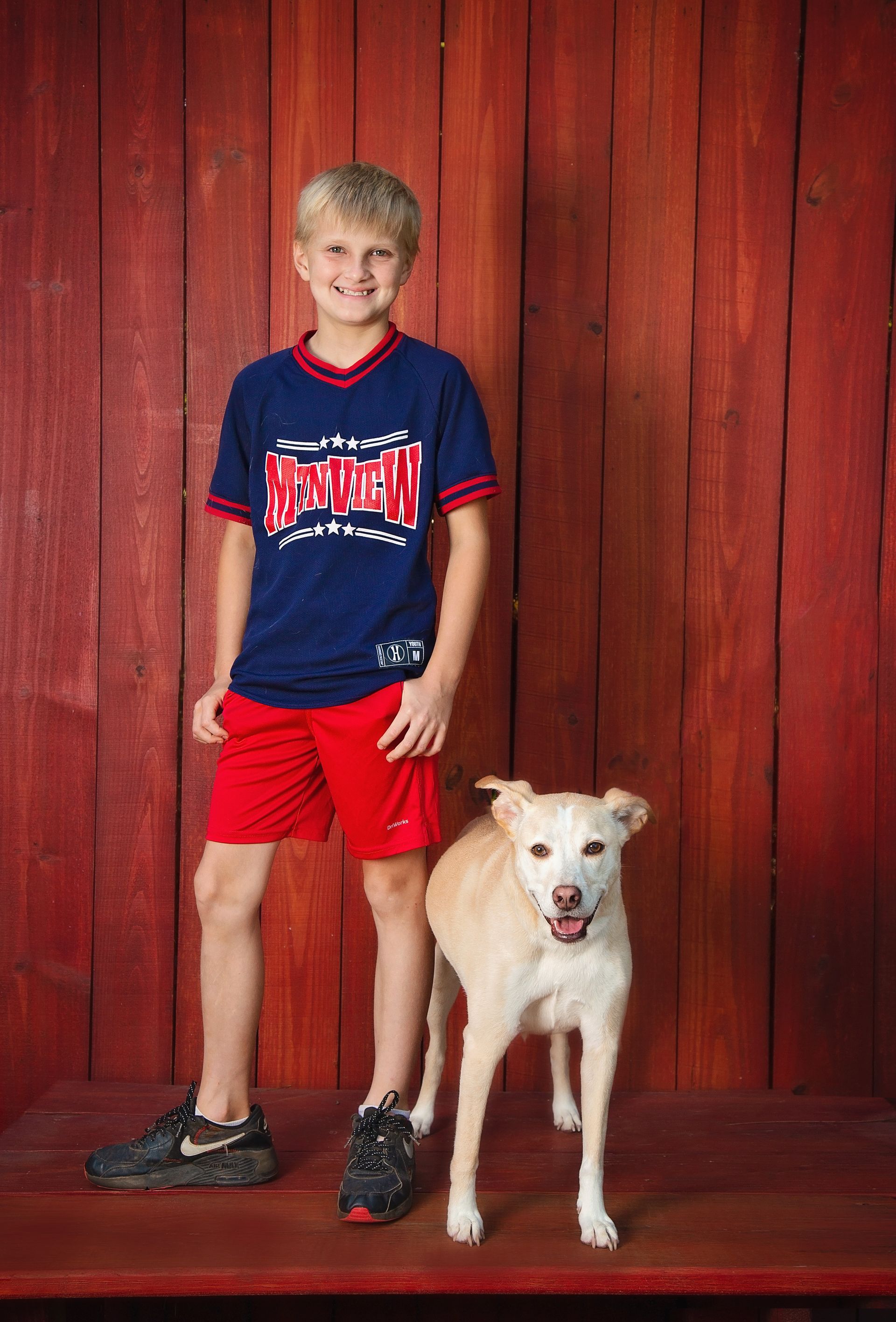 A boy in a blue shirt is standing next to a dog.