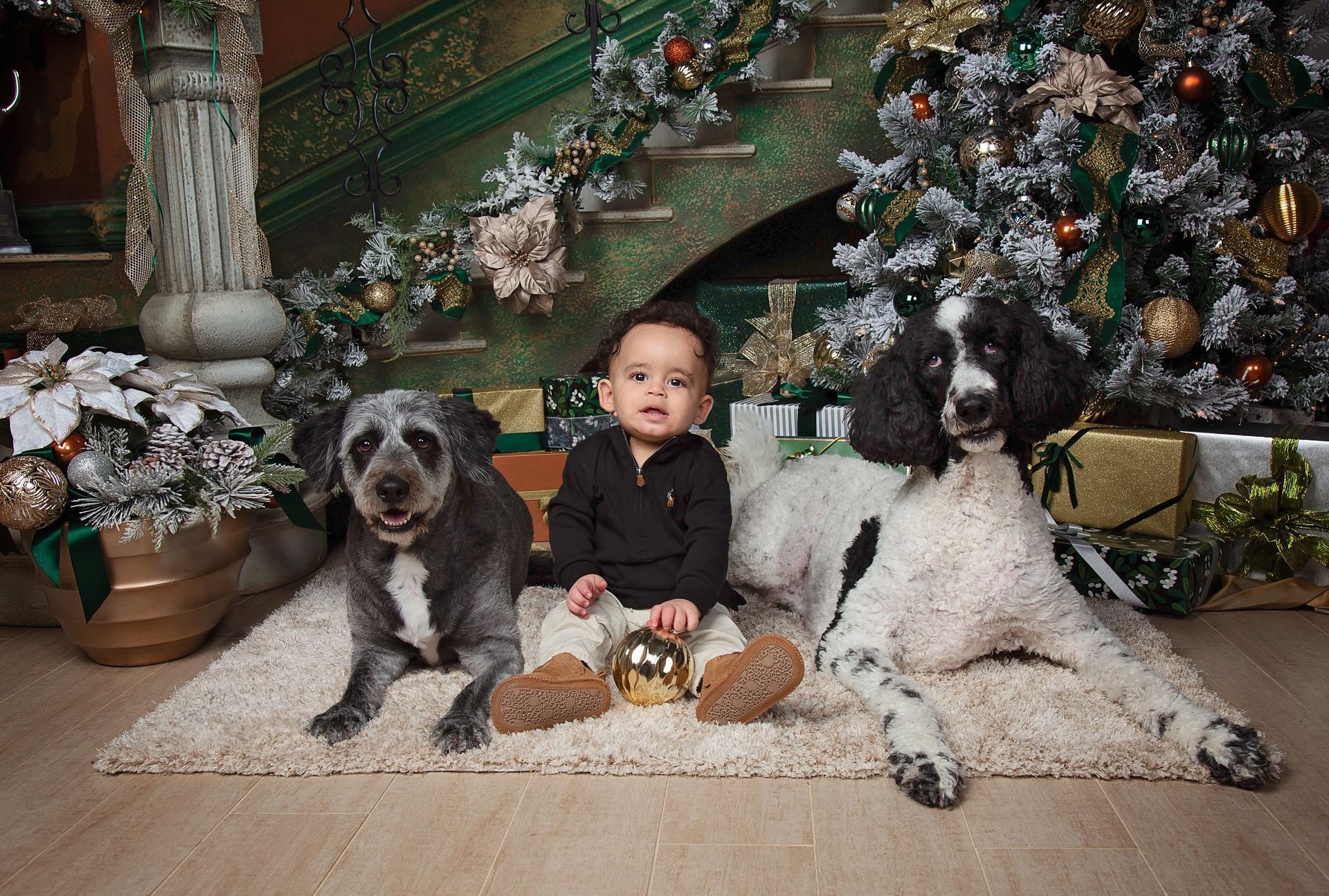 A baby is sitting next to two dogs in front of a christmas tree.