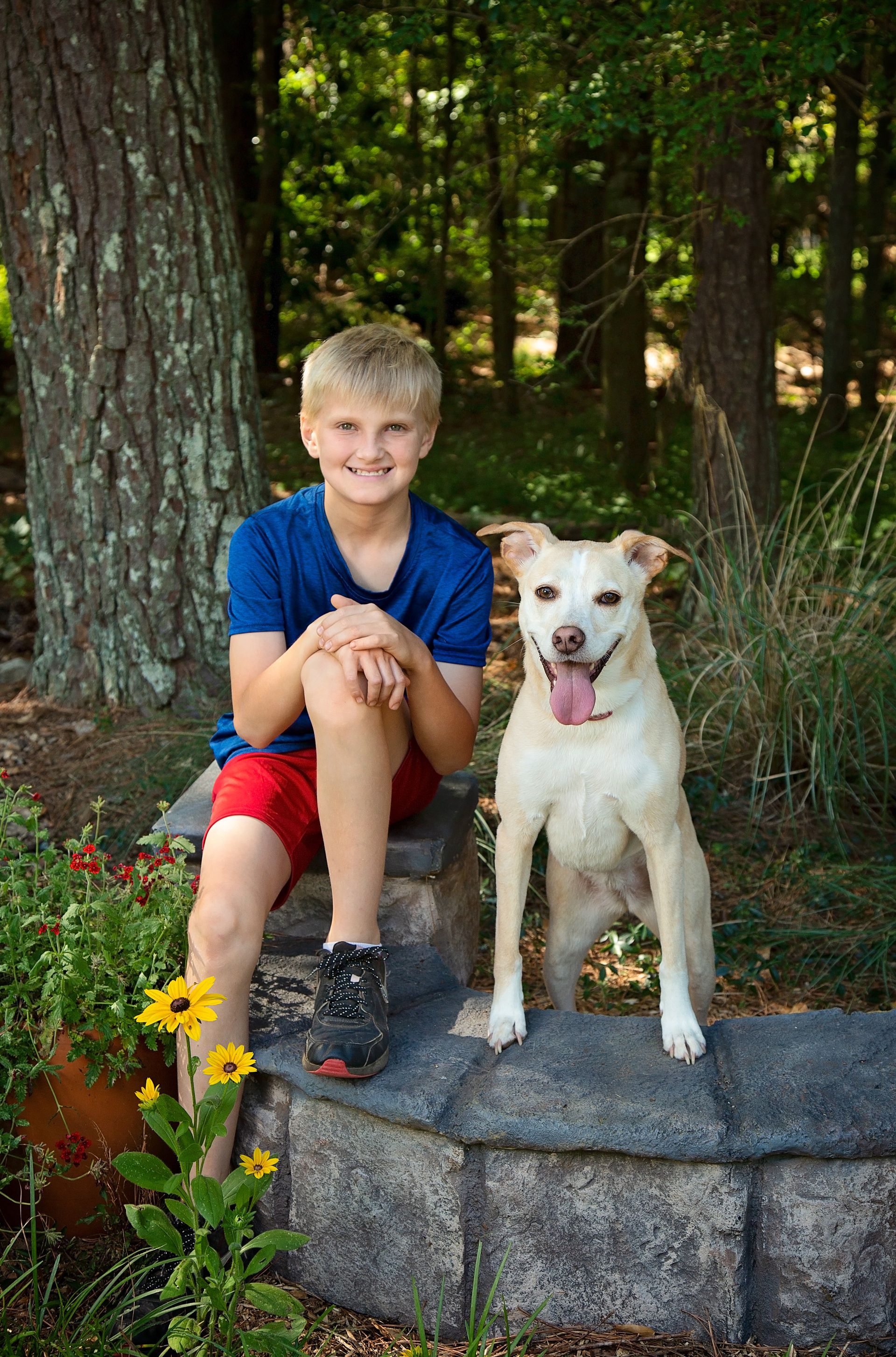 A young boy is sitting on a stone wall next to a dog.