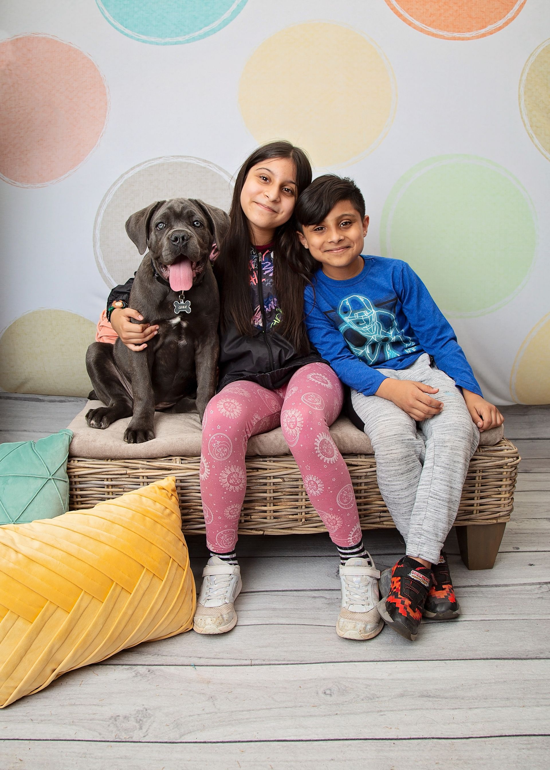 A boy and a girl are sitting on a bench with a dog.