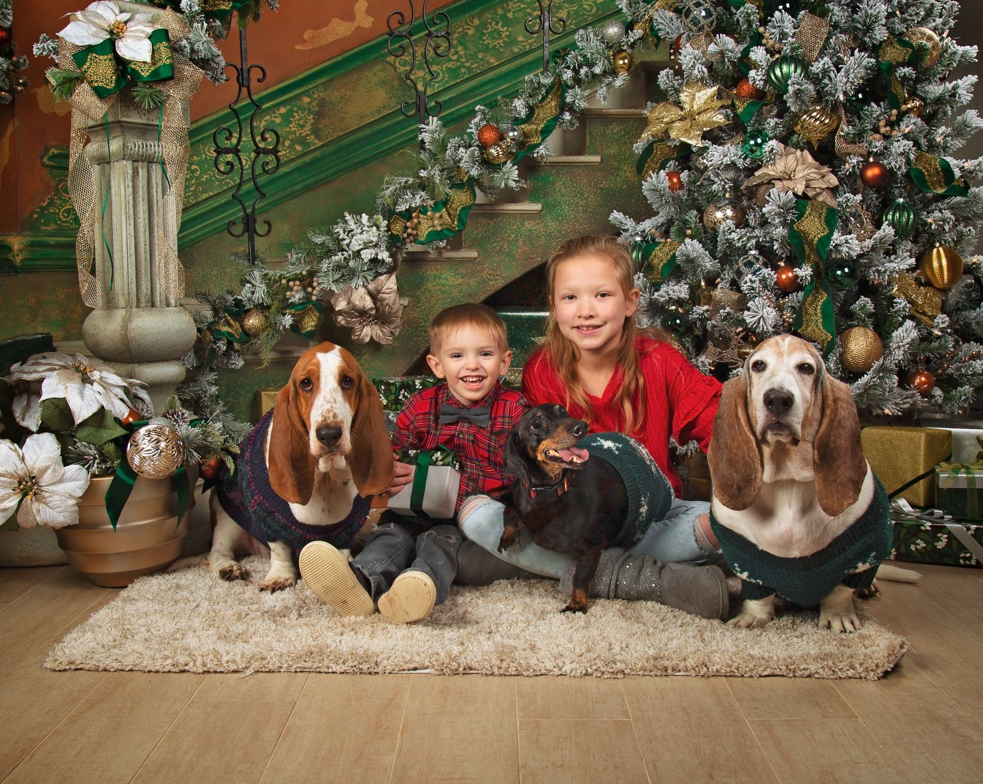 Two children and two basset hounds are posing for a picture in front of a christmas tree.