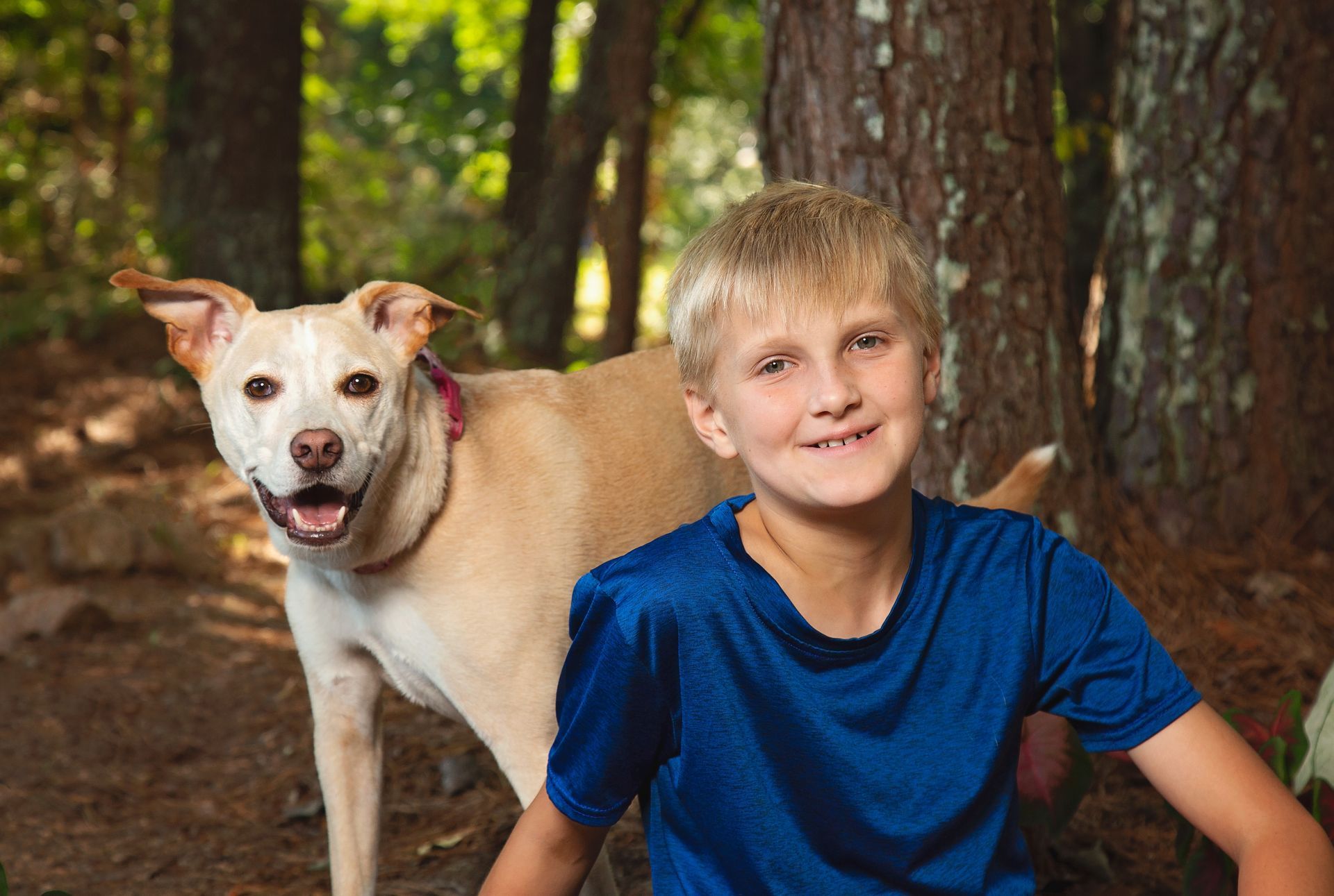 A young boy is sitting next to a dog in the woods.