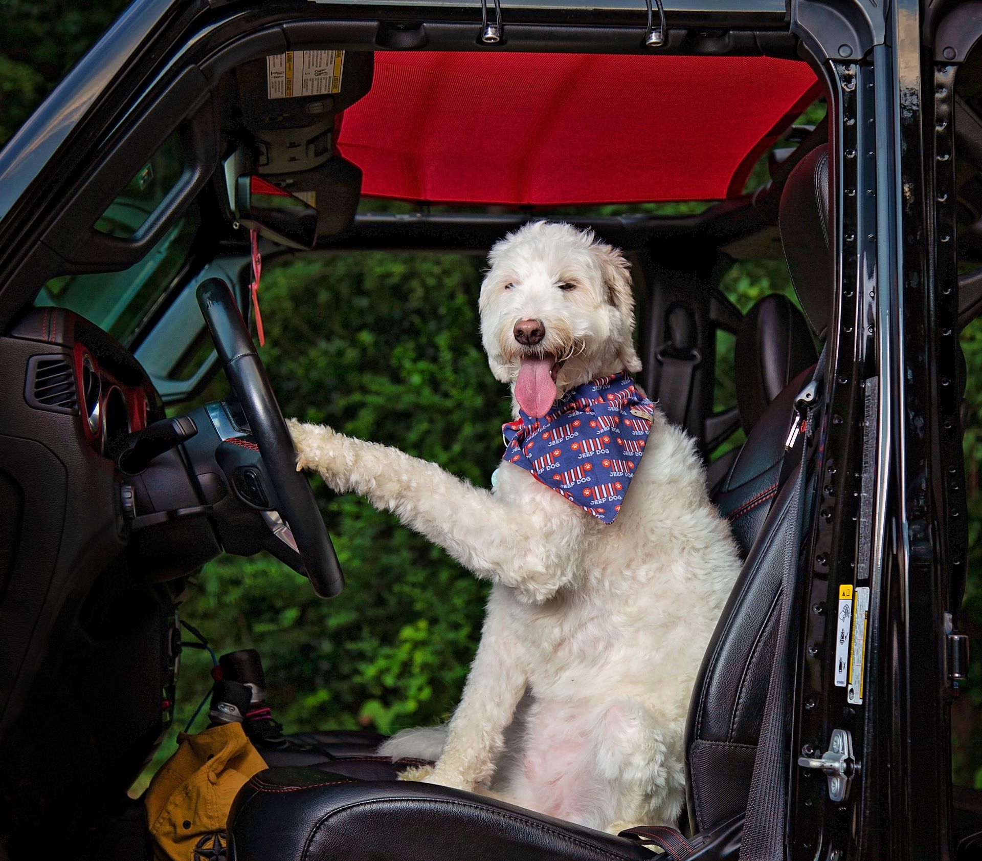 A dog wearing a bandana is sitting in the driver's seat of an open-door Jeep with his paw on the steering wheel.
