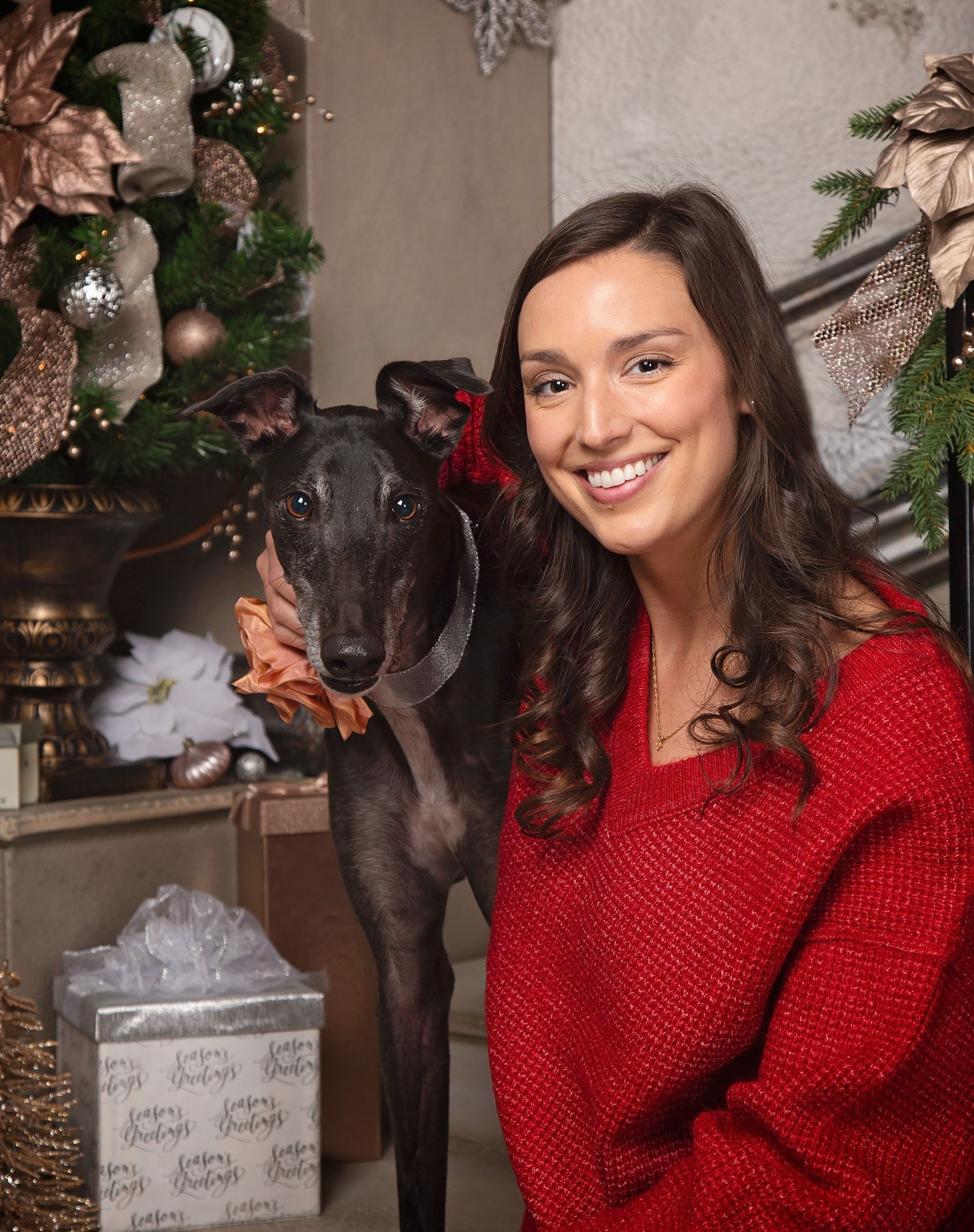 A woman in a red sweater is sitting next to a black retired racing greyhound dog in front of a Christmas tree.