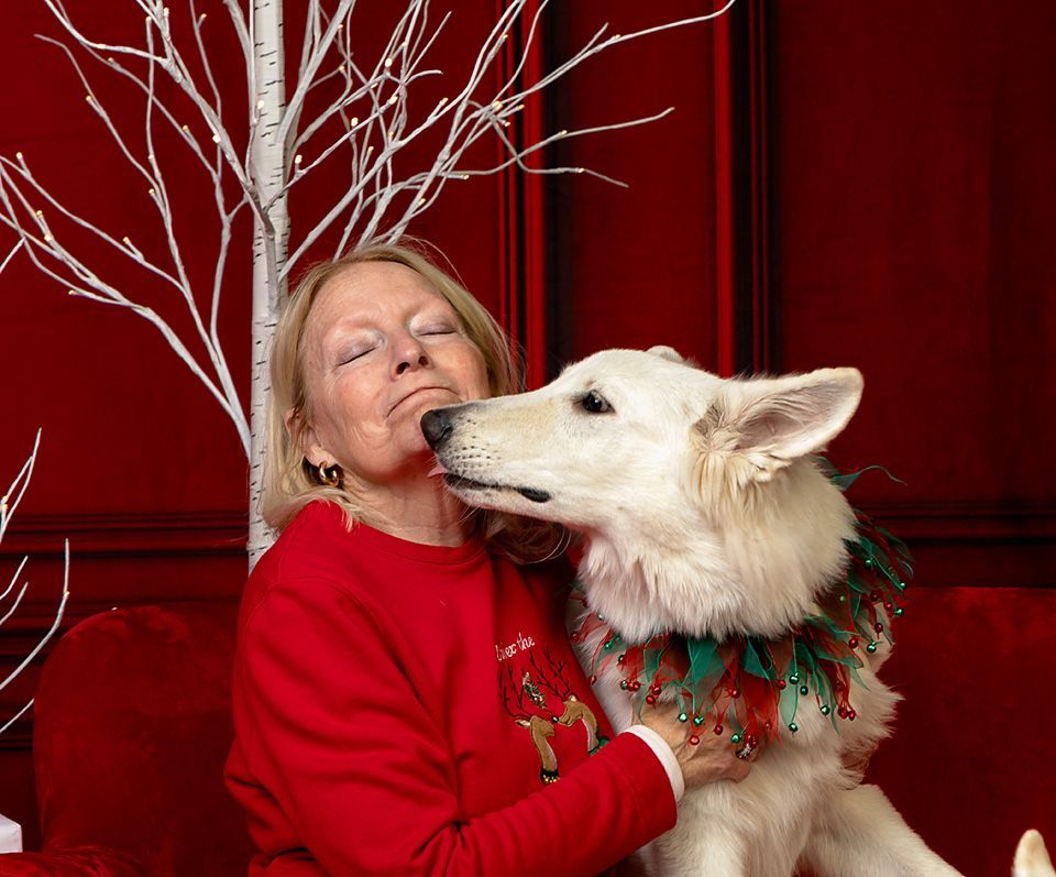 A woman in a red sweater is receiving a kiss from a white German Shepherd dog.