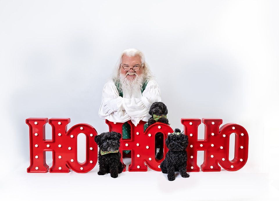 Santa Claus is standing next to three small dogs and a large Ho Ho Ho sign.