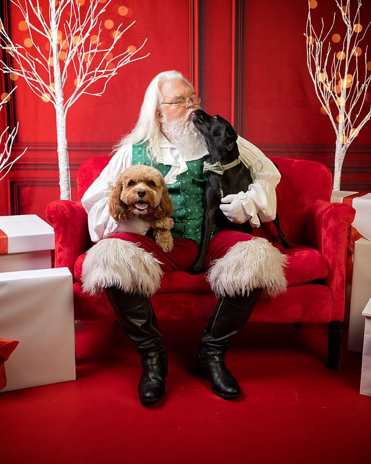 Santa Claus is sitting on a red couch with two dogs, one of which is kissing Santa.