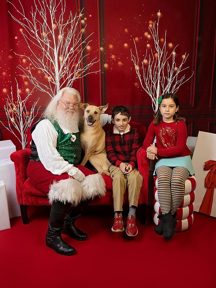 Santa Claus is sitting on a couch with two children and a dog.