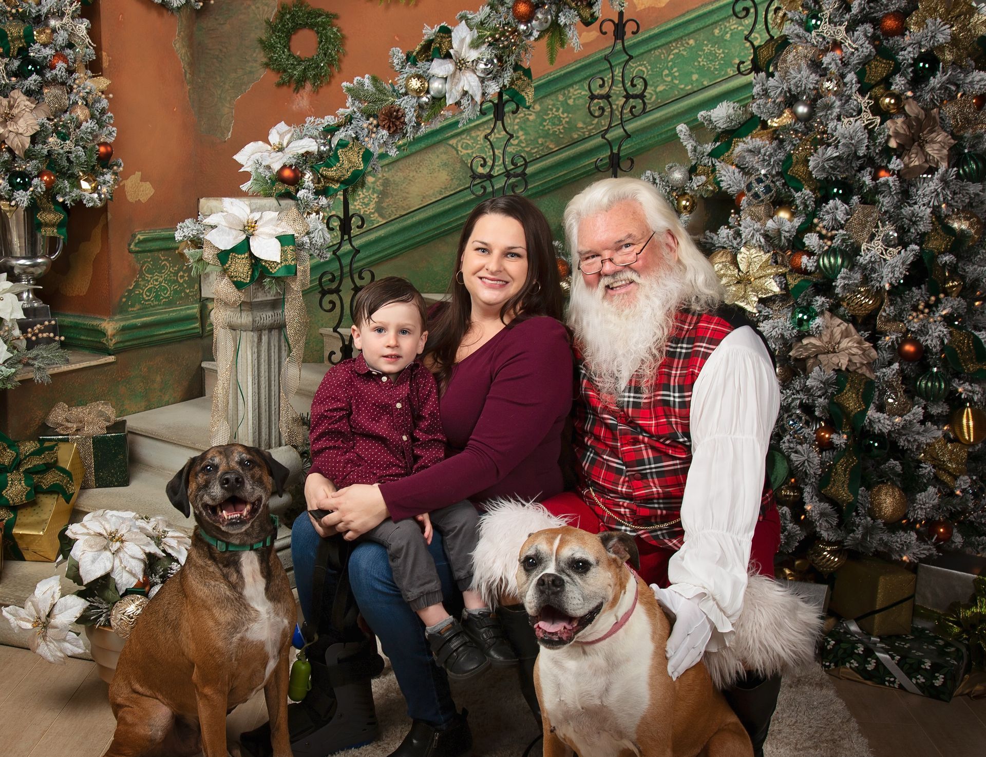 A family is posing for a picture with santa claus and two dogs.