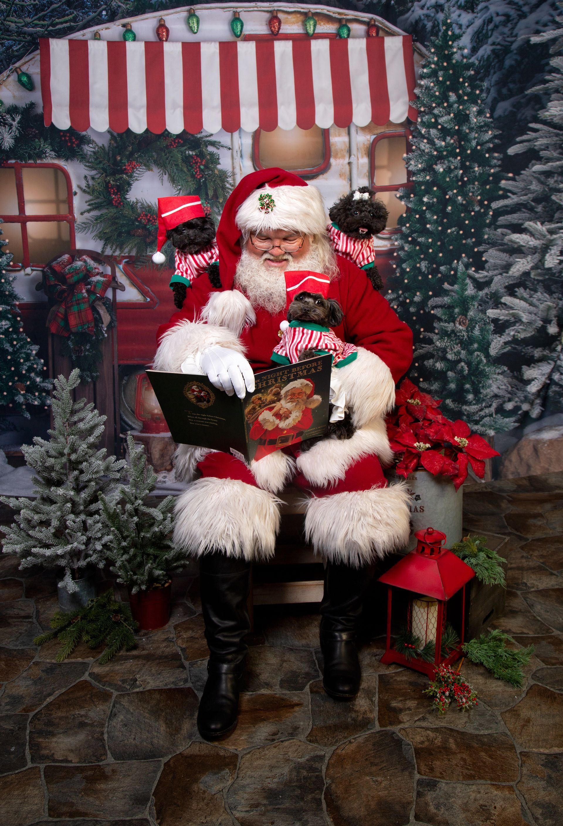 Santa Claus is sitting in a chair reading a Christmas story book to three small dogs in their striped pajamas and nightcaps.