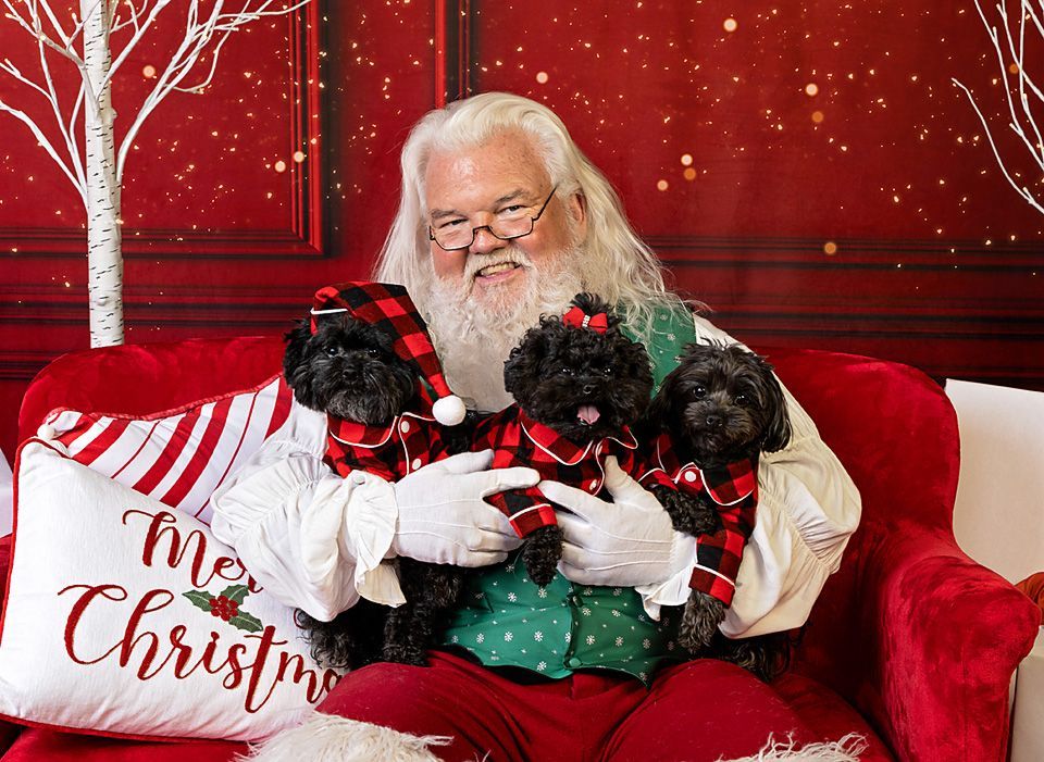 Santa Claus is sitting on a couch holding three small dogs wearing their plaid pajamas.