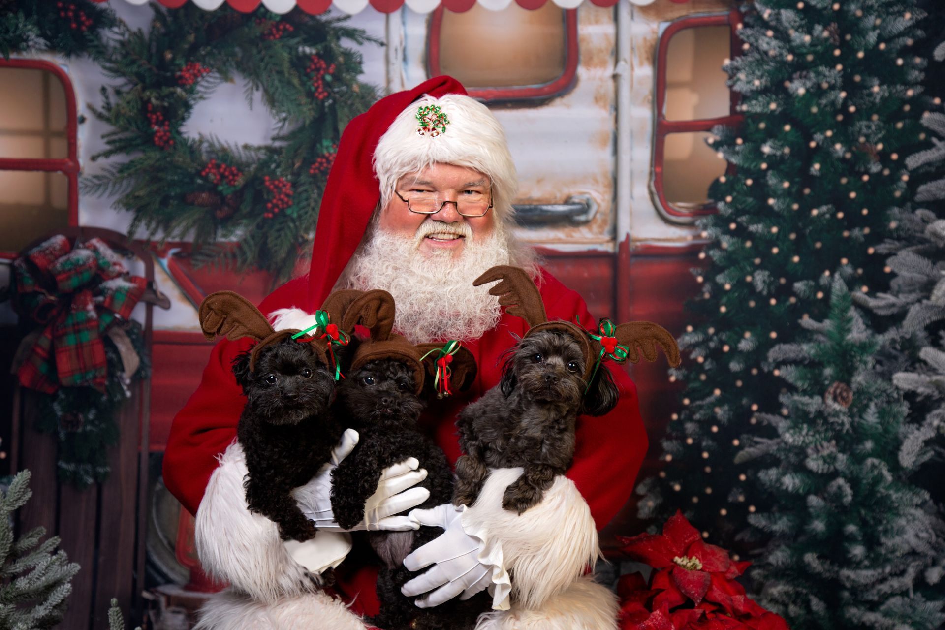 Santa Claus is holding three small dogs wearing reindeer antlers in his arms in front of a Christmas tree.