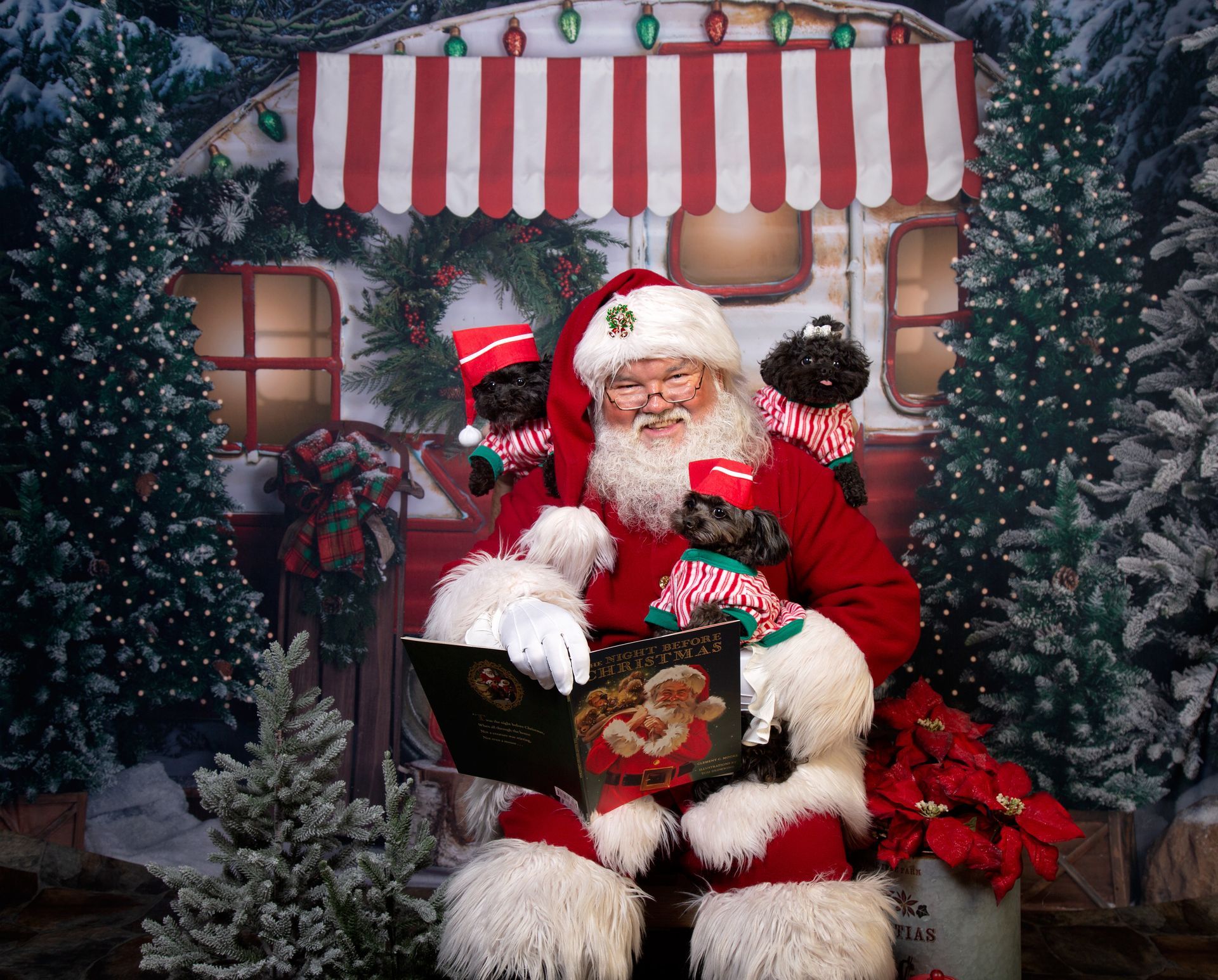 Santa Claus is sitting in a chair reading a Christmas story book to three small dogs in their striped pajamas and nightcaps.