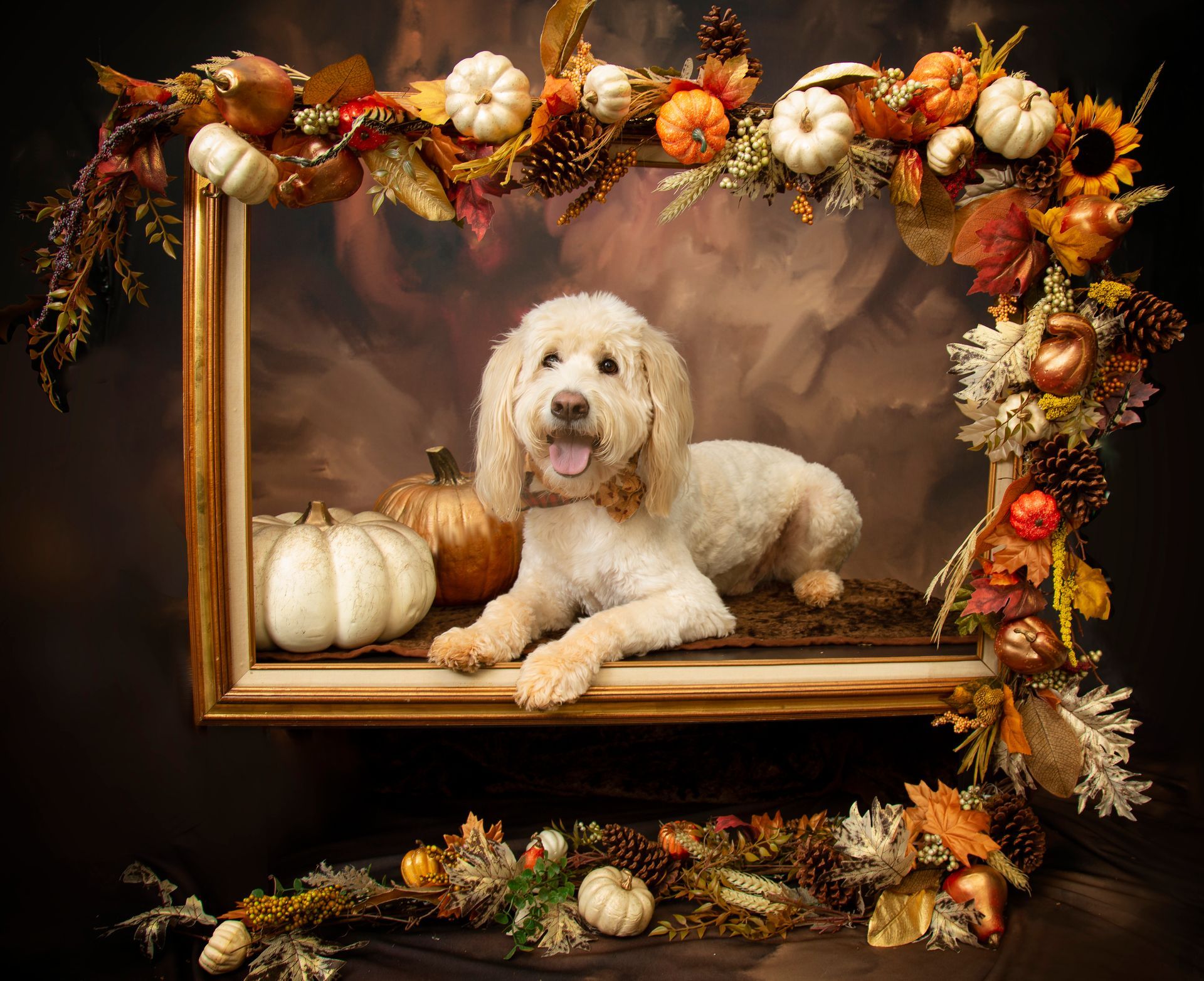 A dog is laying in a picture frame surrounded by pumpkins and leaves. .