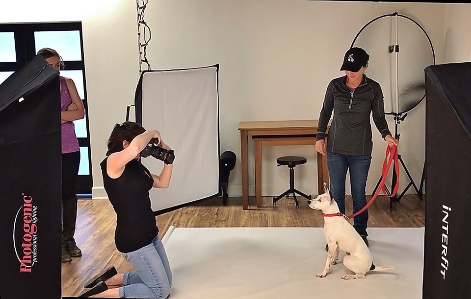 Our award winning photographer Tracey Luttgens is kneeling down to take a picture of a dog on a leash in our state-of-the-art portrait photography studio.