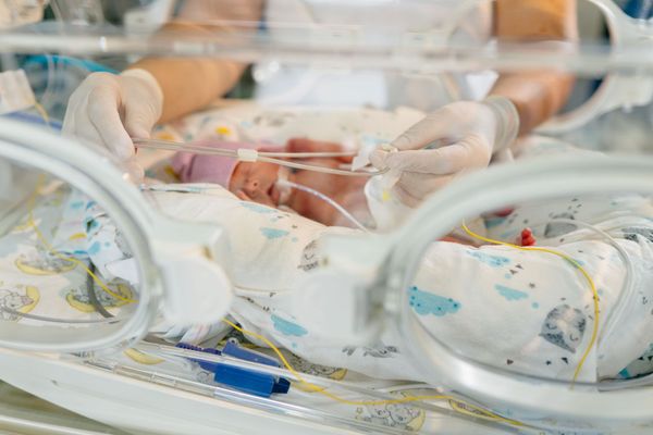 An image of Assistance with Multiples and Preemies