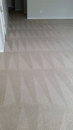 Carpet cleaning — Murfreesboro, TN — Drycon of Middle Tennessee