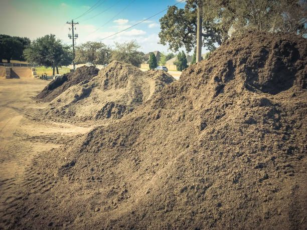 A pile of dirt is sitting on top of a dirt road.