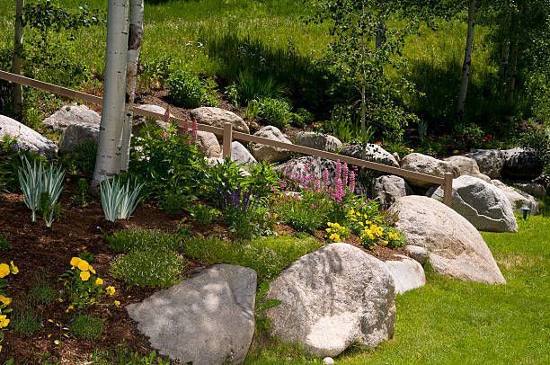 There are a lot of rocks and flowers in the garden.