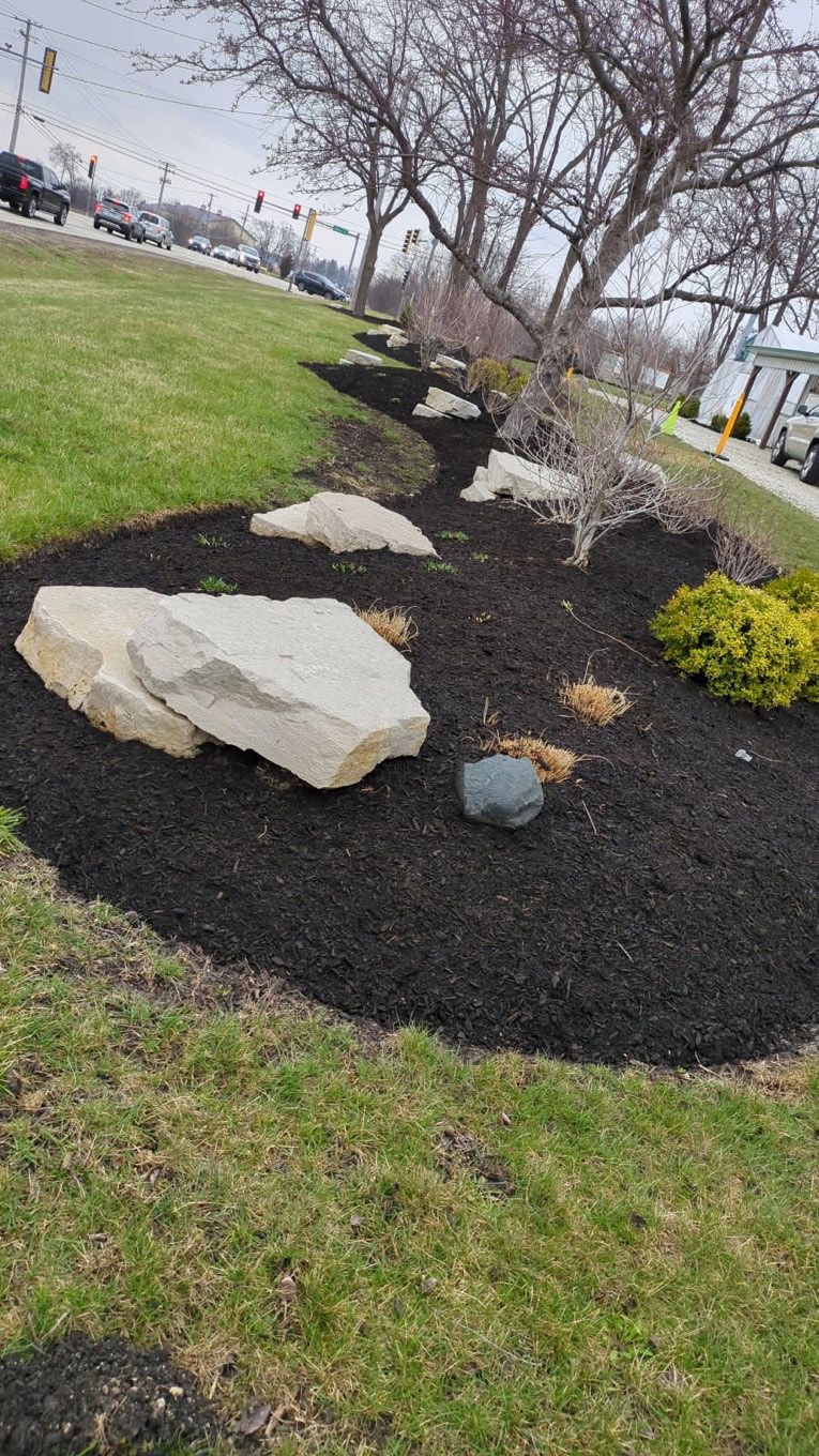 There are a lot of rocks in the middle of the garden.