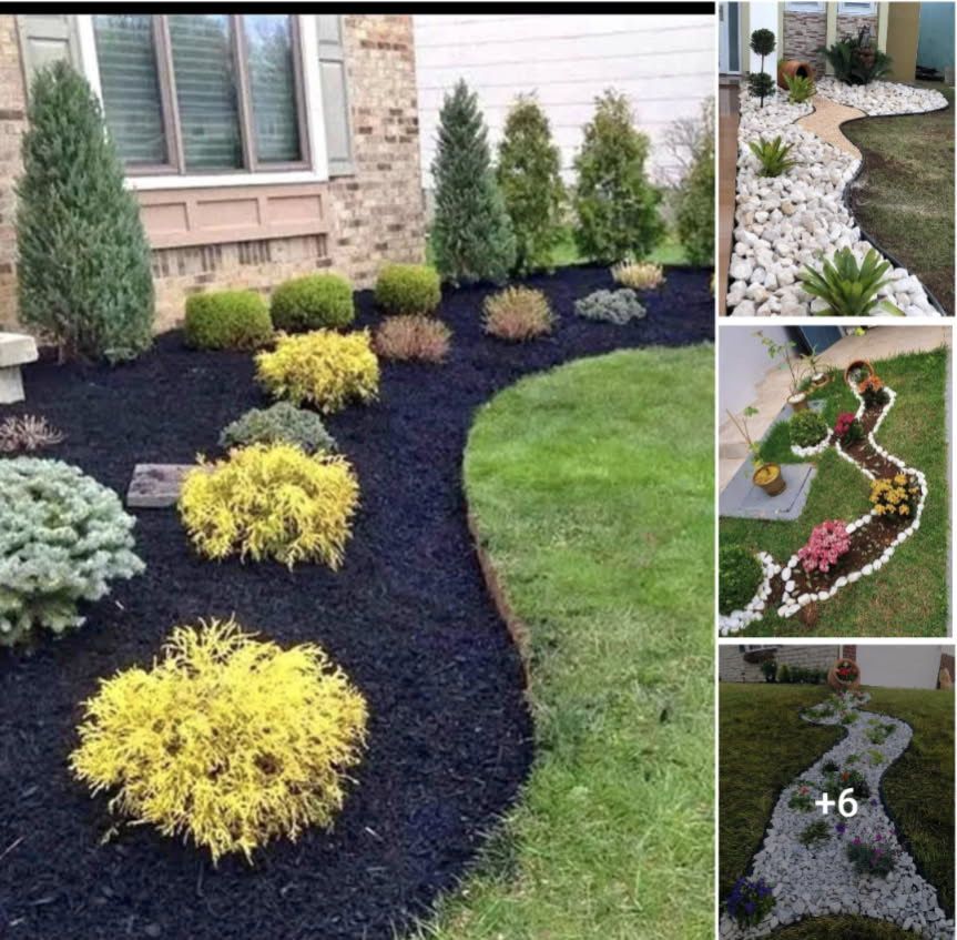 A collage of pictures showing different types of landscaping