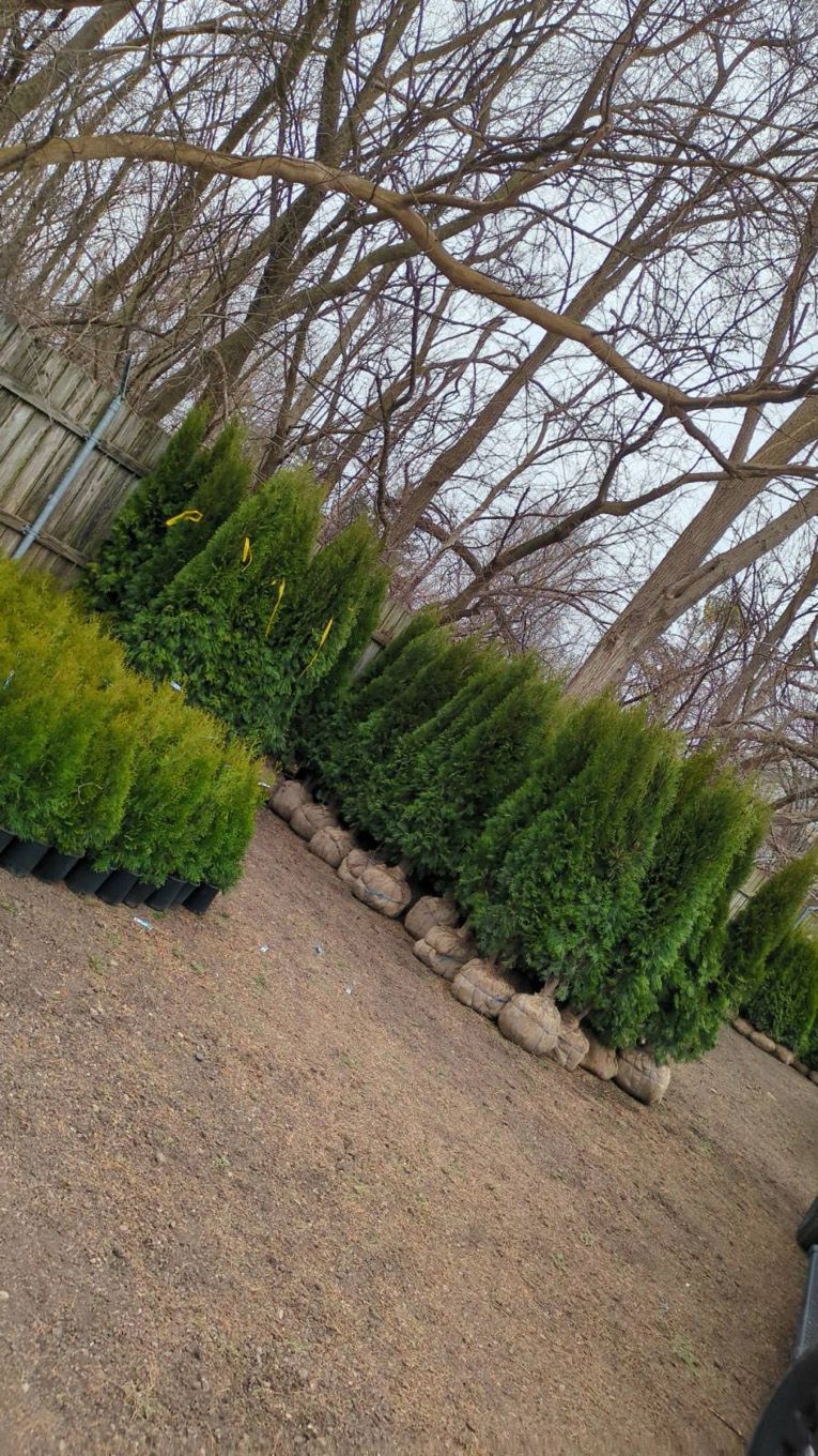 A pile of turf is sitting on the side of the road next to a house.