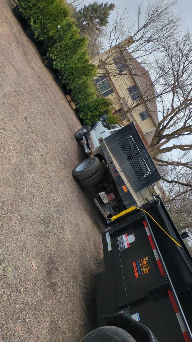A bunch of trees are lined up in a row in a garden.
