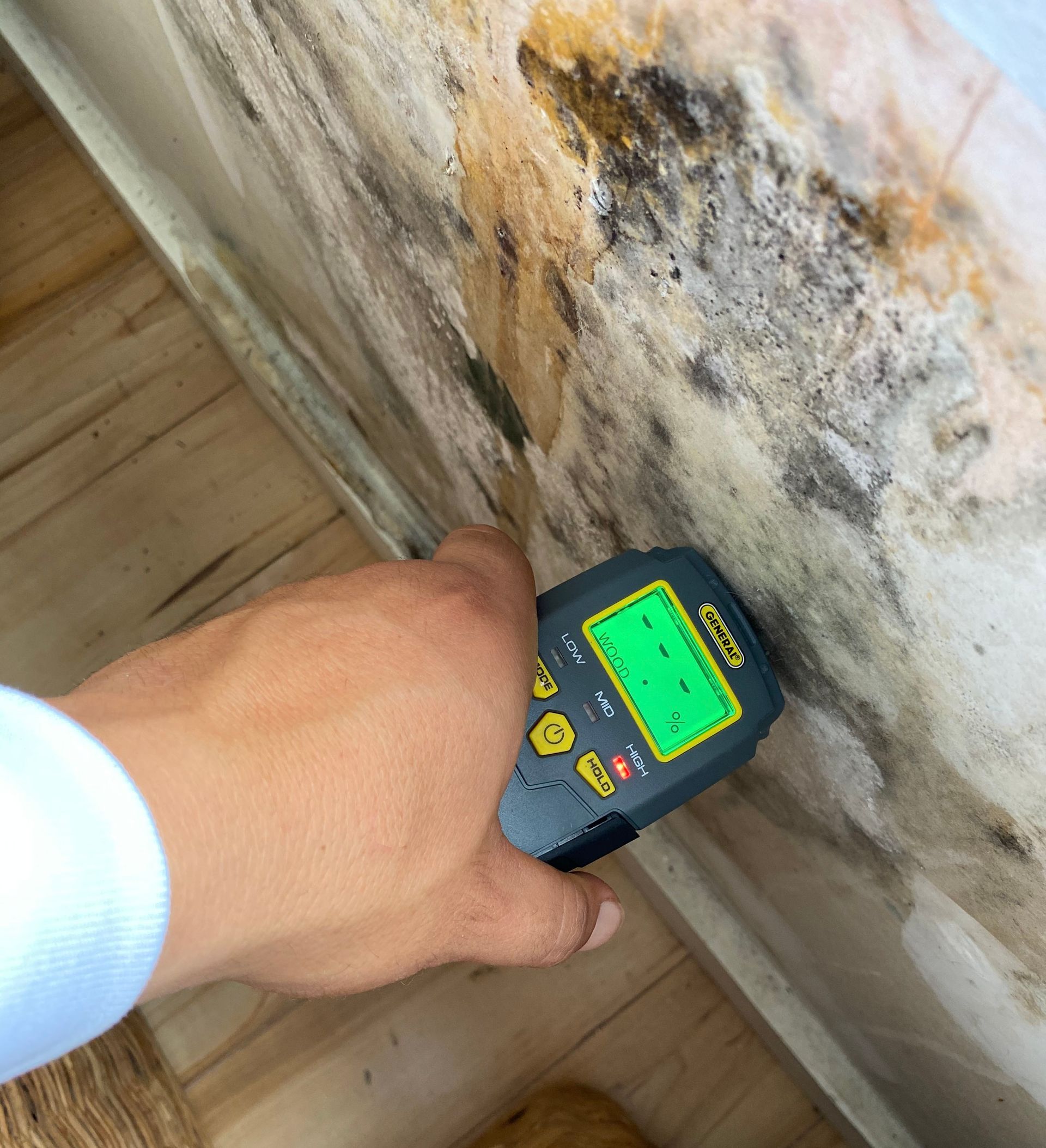 Mano sosteniendo un medidor de humedad cerca de una superficie con moho, probablemente una pared. El medidor muestra una pantalla verde.
