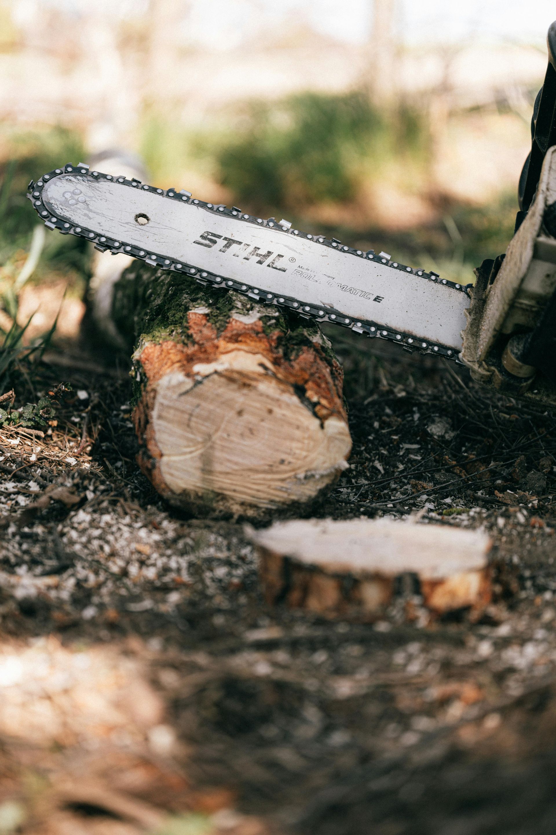 Chainsaw cutting through a log, with a cut piece of wood on the ground.