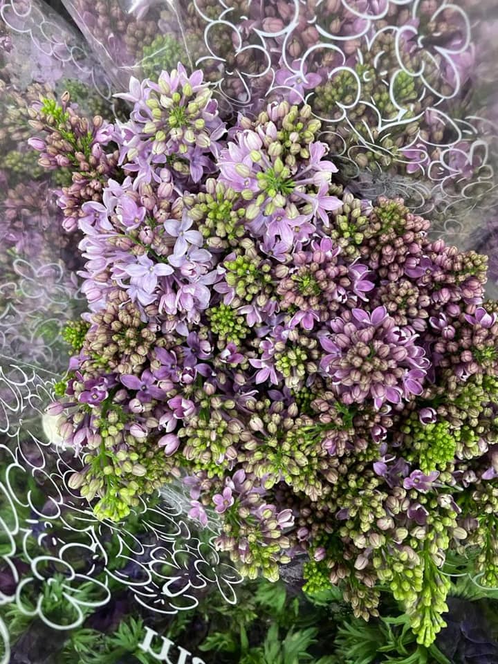 līgavas un līgavaiņa rotas, smaržīgās sveces, vāzes, telpu pasākumu noformēšana,