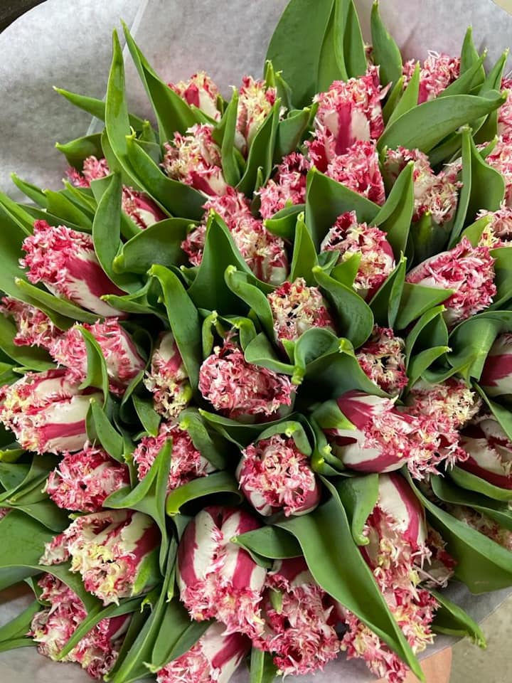 bēru zari, štrausi, sēru pušķi. Ziedu tirdzniecība, puķes. Ziedu pasūtīšana pa telefonu, kāzu telpu noformēšana