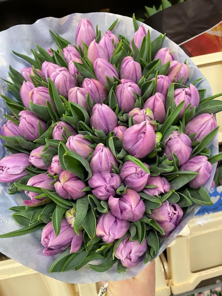 Ziedi, ziedu pušķi. Ziedu kārtojumi līgavām, kāzu pušķi, auto dekorēšana, ziedu dekori kāzu automašīnām. Bēru vainagi,