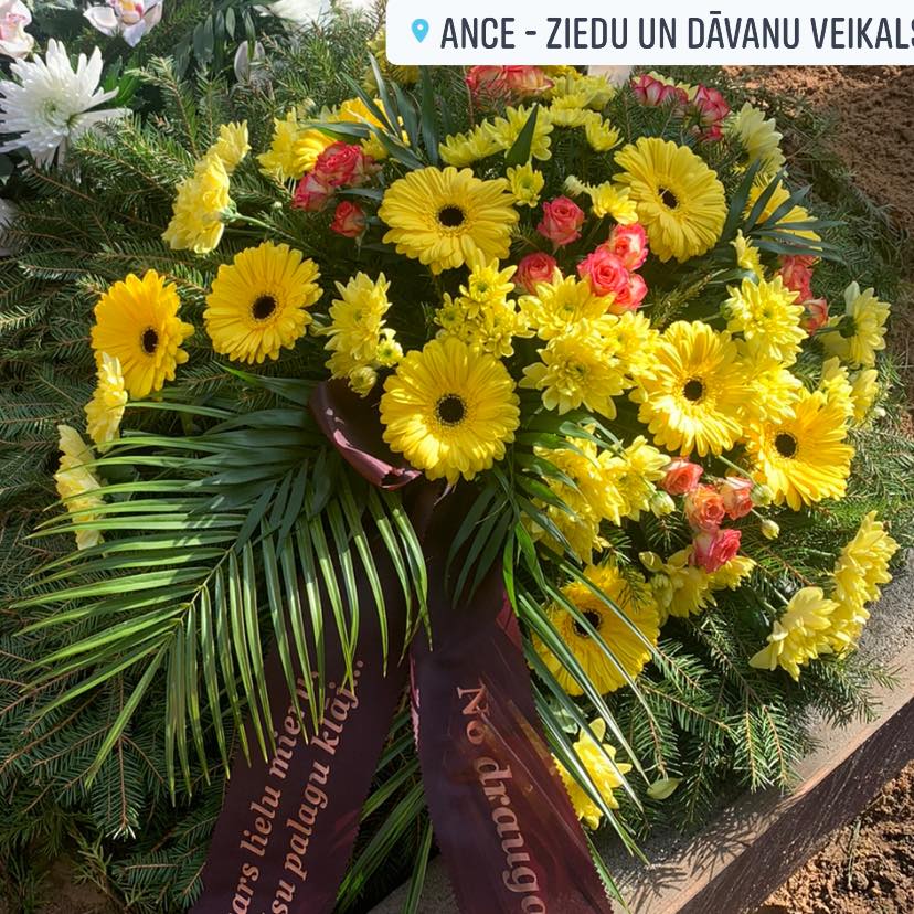 puķes, telpu dekorēšana, telpu noformēšana