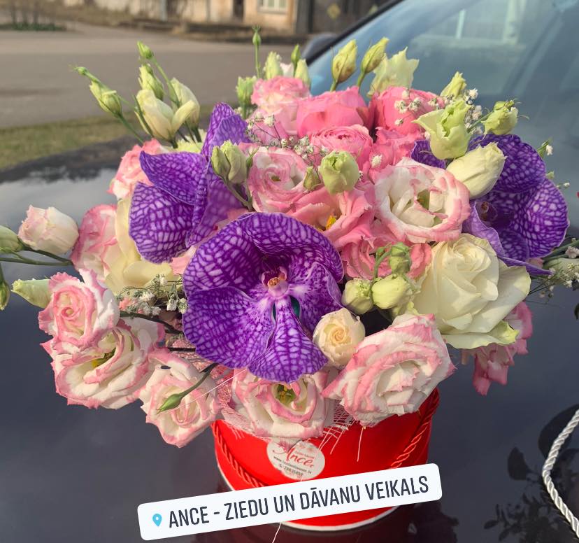 skatlogu, svinību, konferenču, prezentāciju, pasākumu, viesību dekorēšana