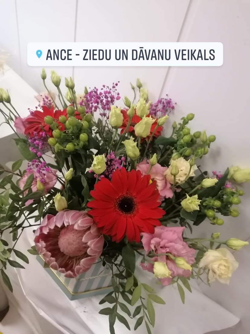 floristikas materiāli, ziedu veikals, grieztie ziedi, ziedu pušķi, telpaugi, līgavas pušķis, apsveikuma rotas