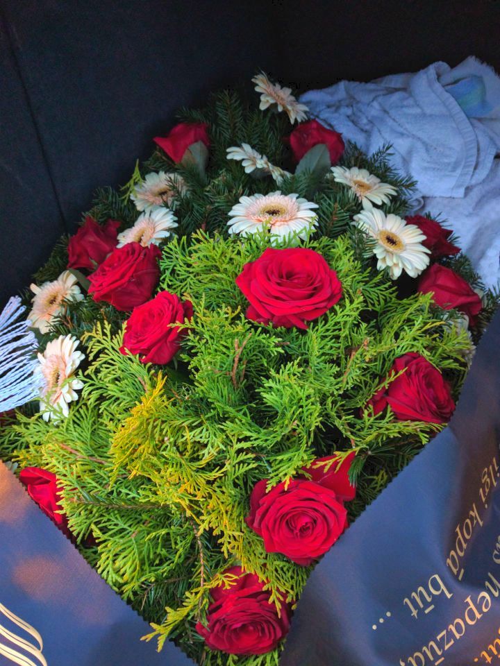 Ziedi, grieztie ziedi, ziedu pušķi, sēklas, stādi, dekoratīvie stādi, puķu stādi, puķu podi