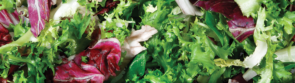 A close up of a salad with lettuce , onions and other vegetables.