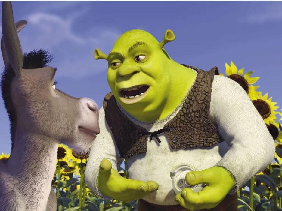 Shrek talking to a donkey in a field of sunflowers